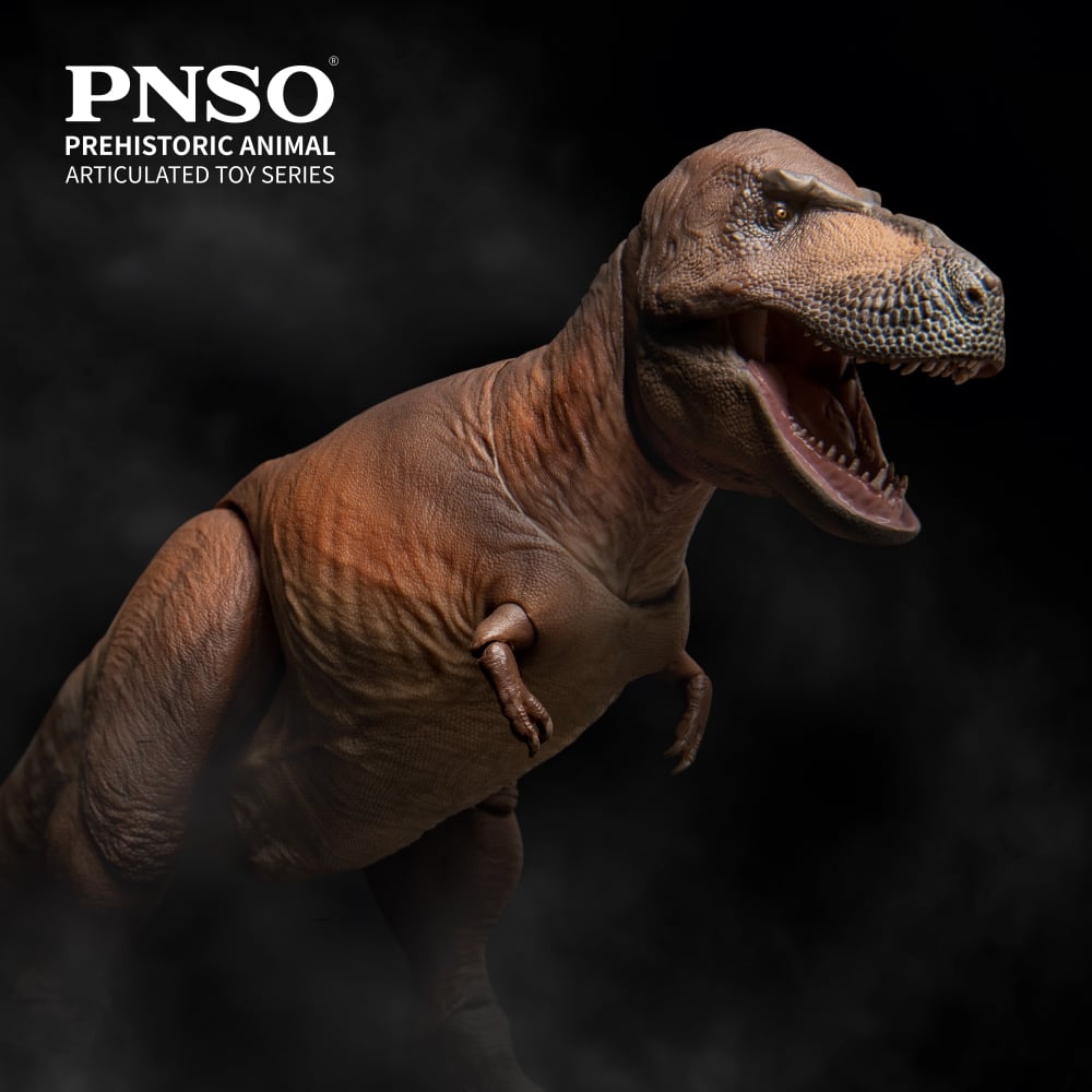 Prehistoric Animal Models Cameron the Tyrannosaurus Rex Figure Gallery Image 3