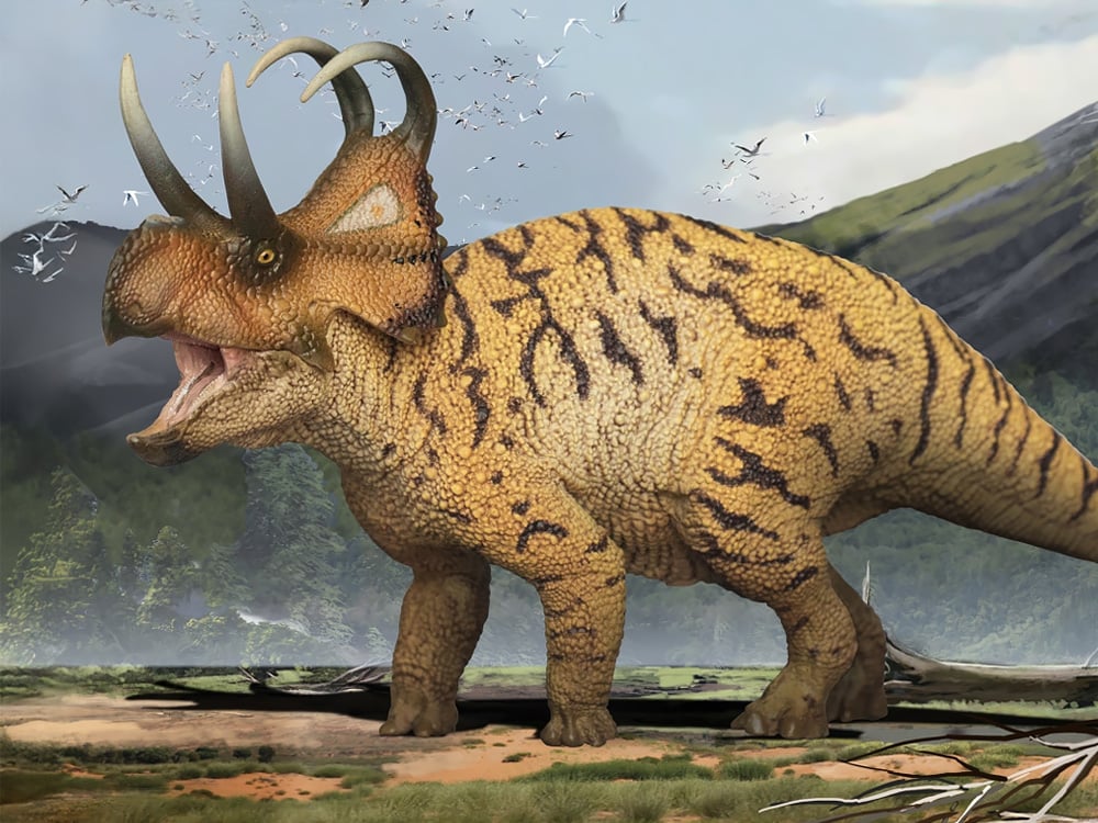 Prehistoric Animal Models Perez the Machairoceratops Figure Gallery Image 1