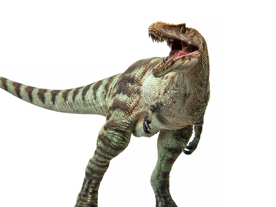 Prehistoric Animal Models A-Shu the Qianzhousaurus Figure Gallery Image 1