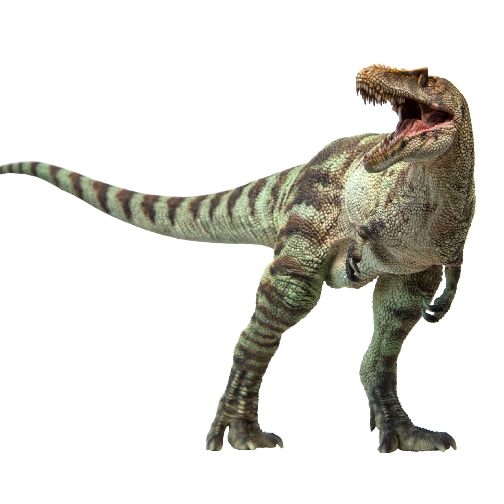 Prehistoric Animal Models A-Shu the Qianzhousaurus Figure Gallery Image 4