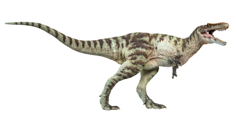 Prehistoric Animal Models A-Shu the Qianzhousaurus Figure Gallery Image 3