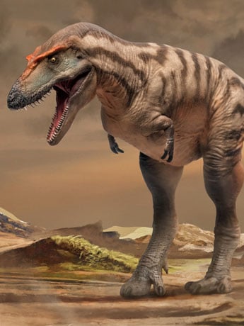Prehistoric Animal Models Tristan the Gorgosaurus Figure