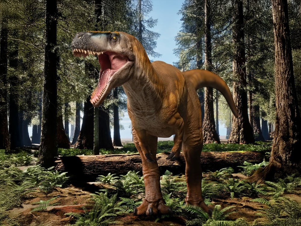Prehistoric Animal Models Edward the Megalosaurus Figure Gallery Image 1