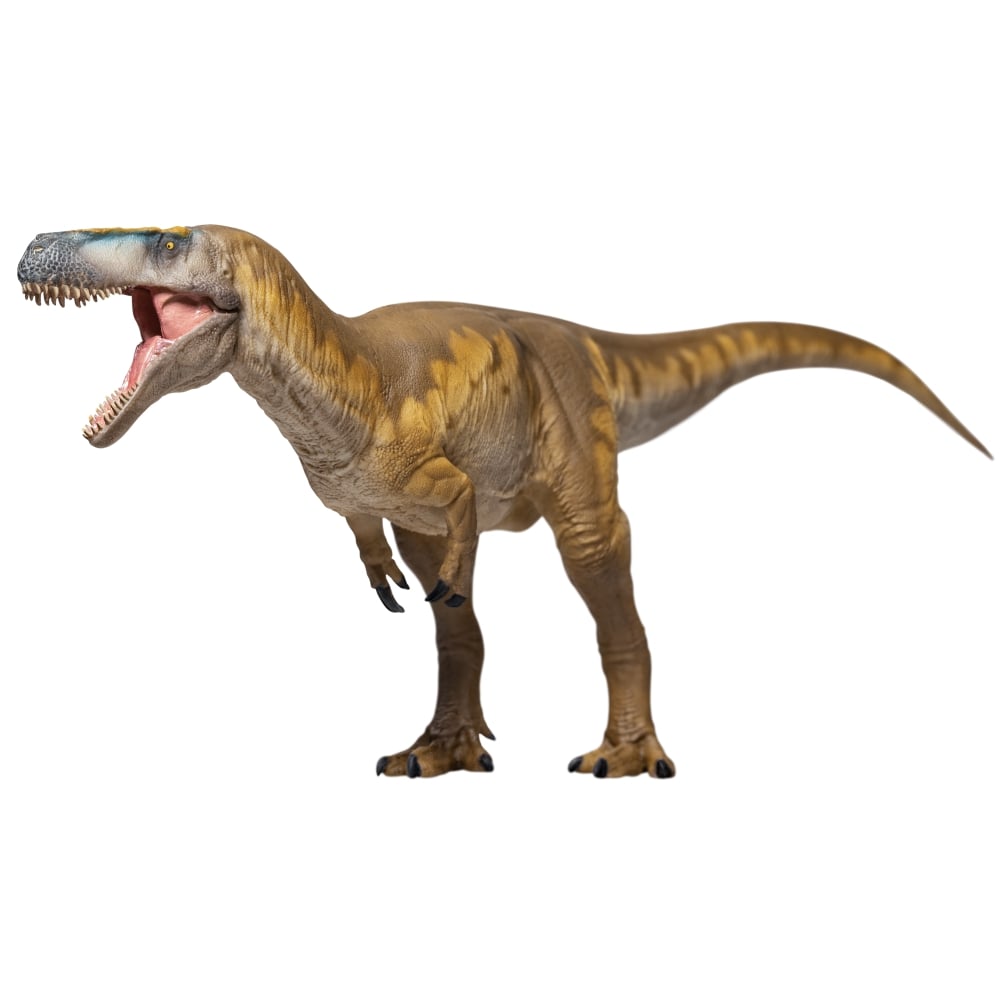 Prehistoric Animal Models Edward the Megalosaurus Figure Gallery Image 5