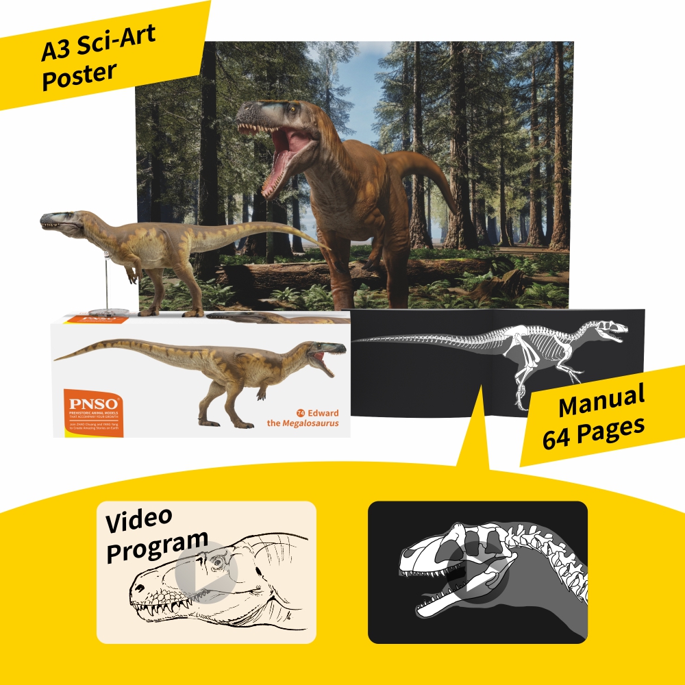 Prehistoric Animal Models Edward the Megalosaurus Figure Gallery Image 7