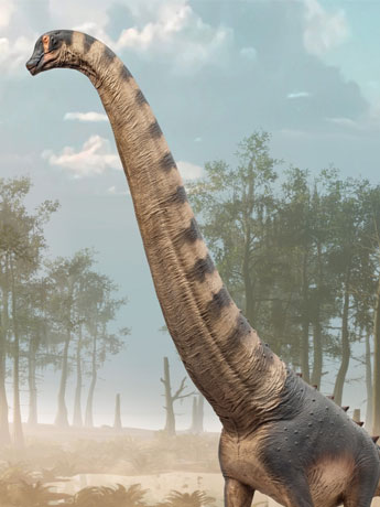 Prehistoric Animal Models Samuel the Alamosaurus Figure Gallery Image 2