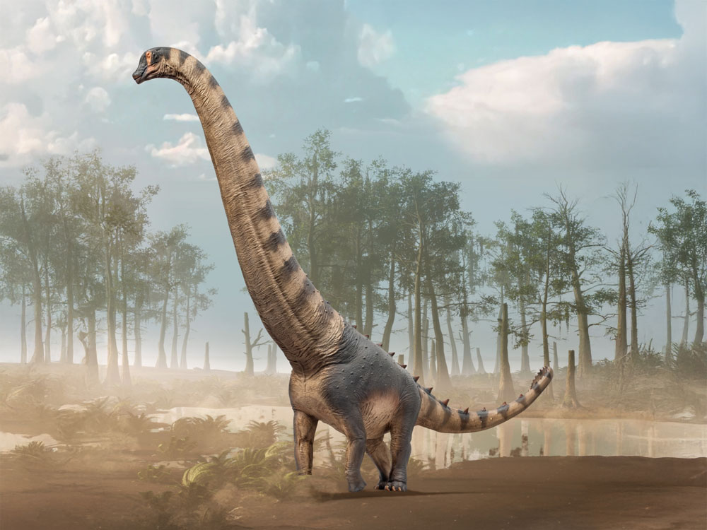 Prehistoric Animal Models Samuel the Alamosaurus Figure Gallery Image 1