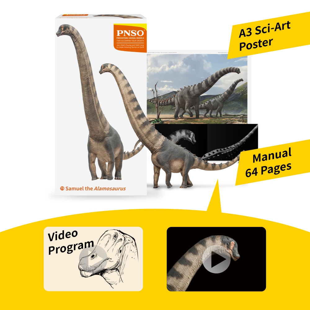 Prehistoric Animal Models Samuel the Alamosaurus Figure Gallery Image 6