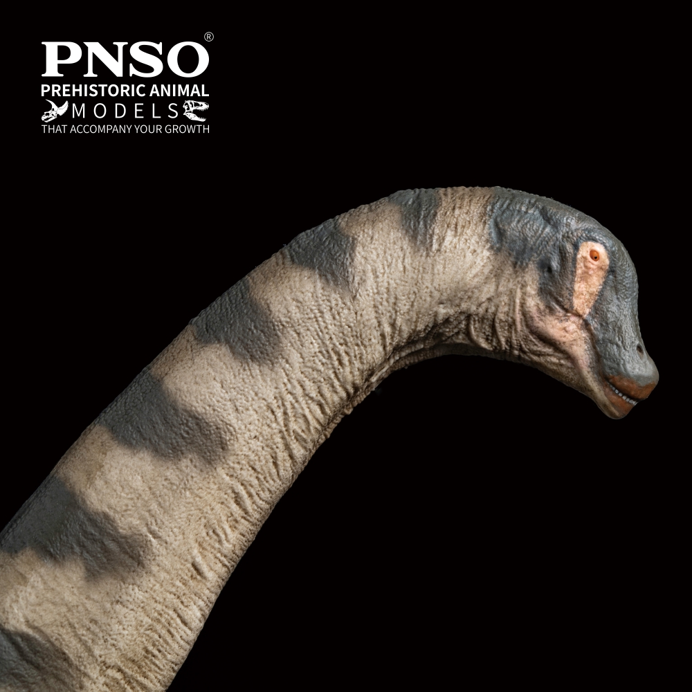 Prehistoric Animal Models Samuel the Alamosaurus Figure Gallery Image 4