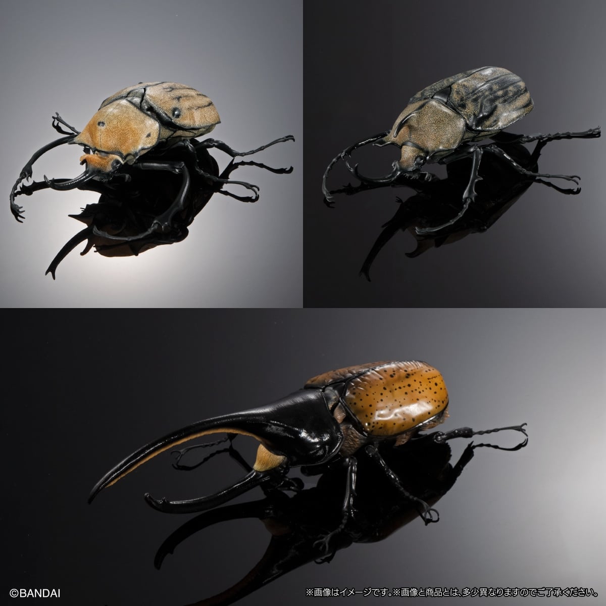 The Diversity of Life on Earth Stag Beetle 04 Bark Pedestal