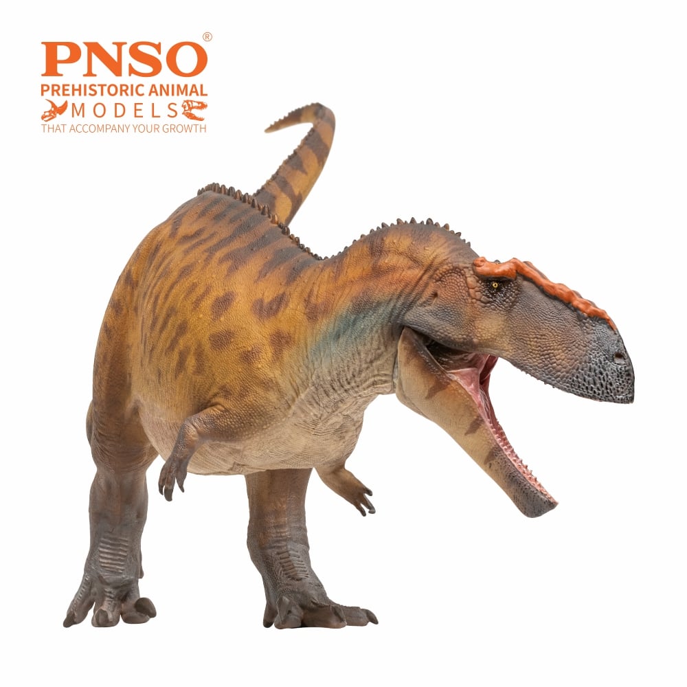 Prehistoric Art Models Hugo the Taurovenator Figure Gallery Image 5