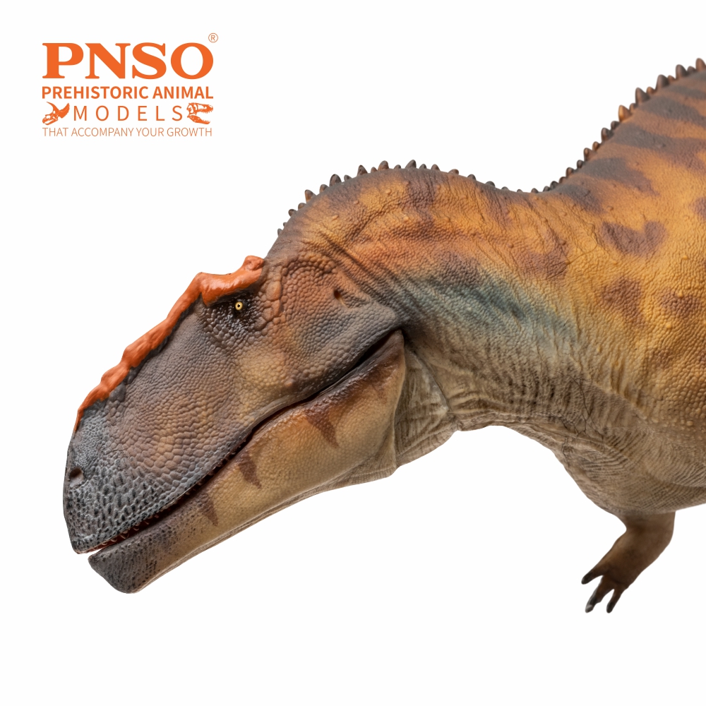Prehistoric Art Models Hugo the Taurovenator Figure Gallery Image 6