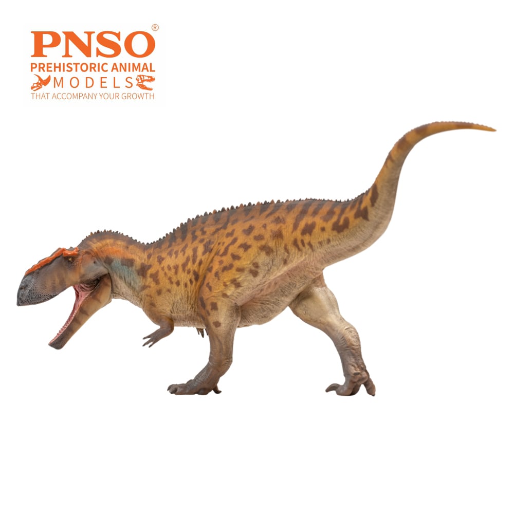 Prehistoric Art Models Hugo the Taurovenator Figure Gallery Image 4