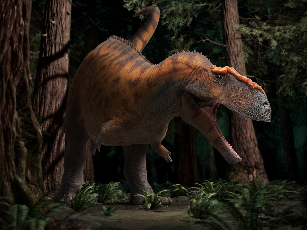 Prehistoric Art Models Hugo the Taurovenator Figure Gallery Image 1