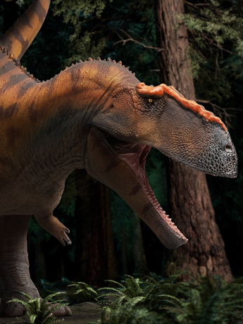 Prehistoric Art Models Hugo the Taurovenator Figure Gallery Image 2