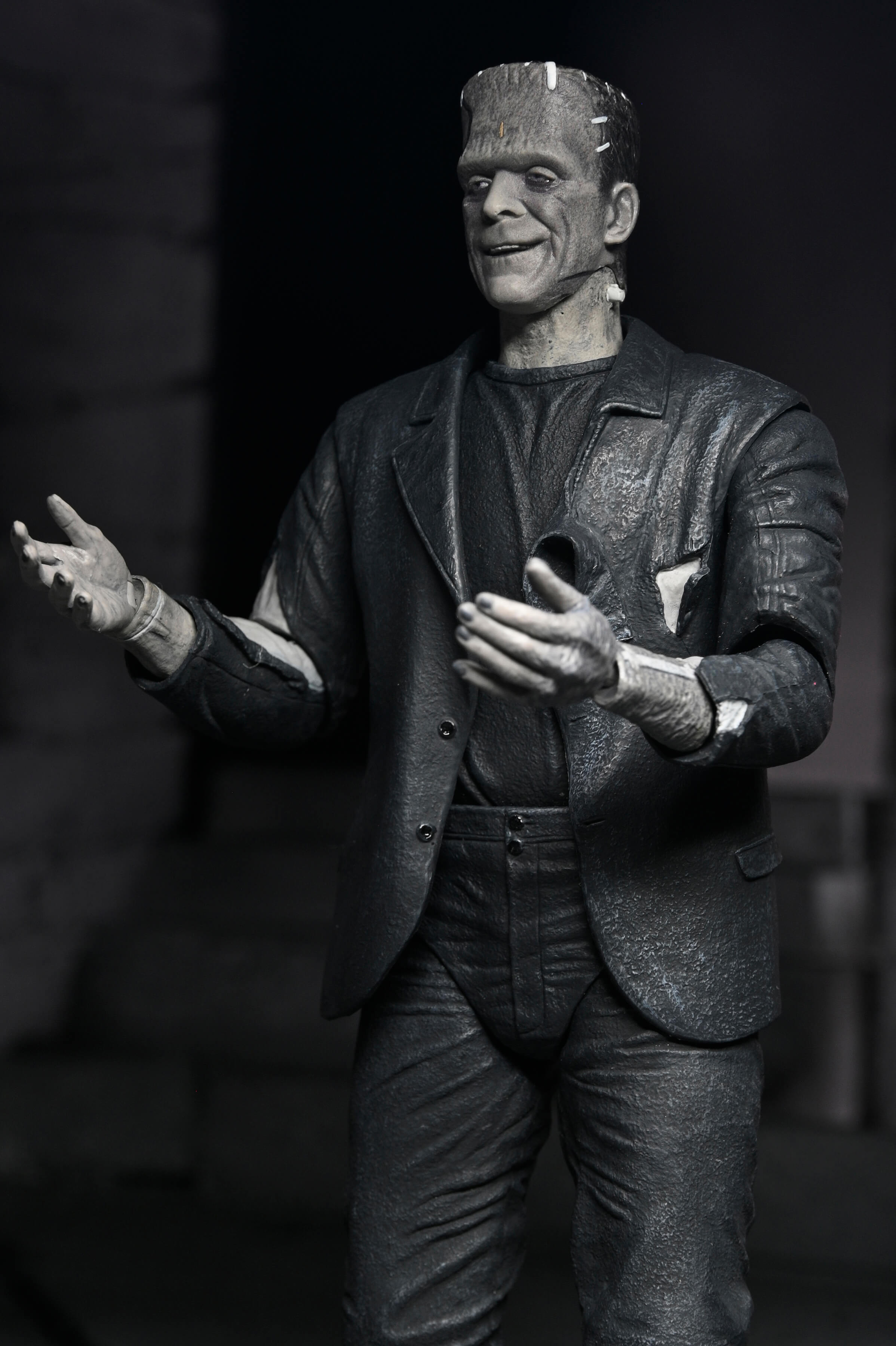 Universal Monsters The Bride of Frankenstein 90th Anniversary The Monster and His Mate Action Figure Two-Pack Gallery Image 11