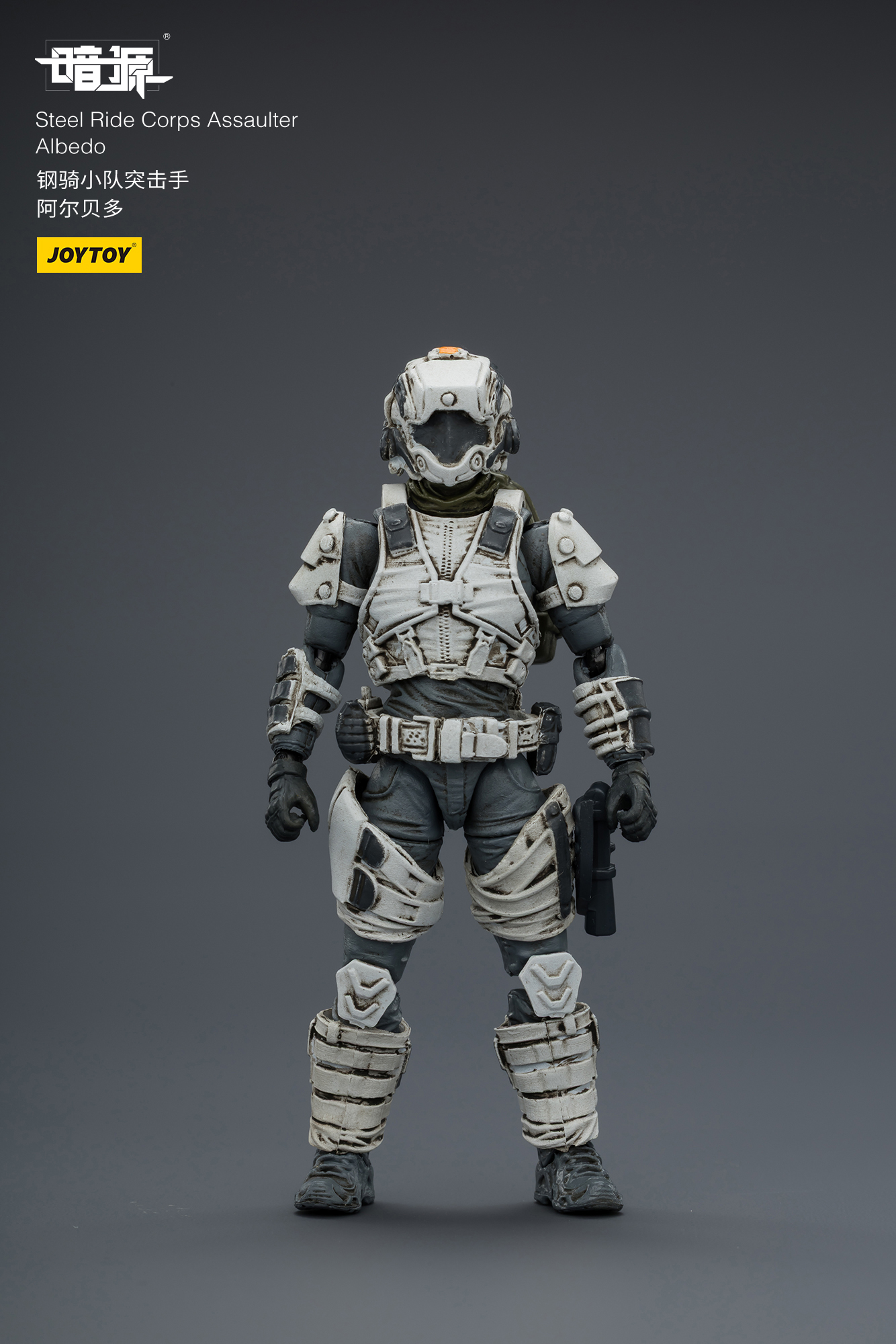 Dark Source APOC Steel Ride Corps Assaulter Albedo 1/25 Scale Action Figure Gallery Image 4