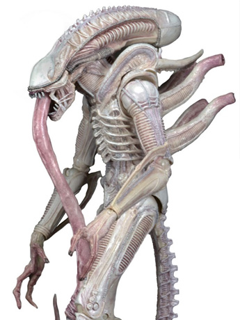 Alien Series 09 Concept Albino Alien Figure Gallery Image 2