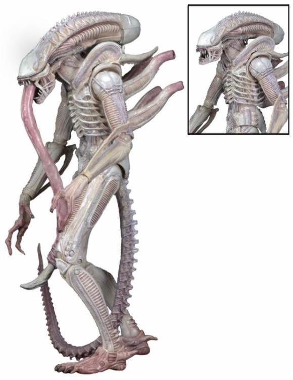 Alien Series 09 Concept Albino Alien Figure Gallery Image 4