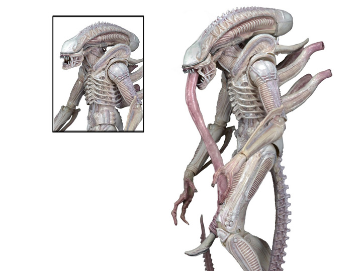 Alien Series 09 Concept Albino Alien Figure Gallery Image 1