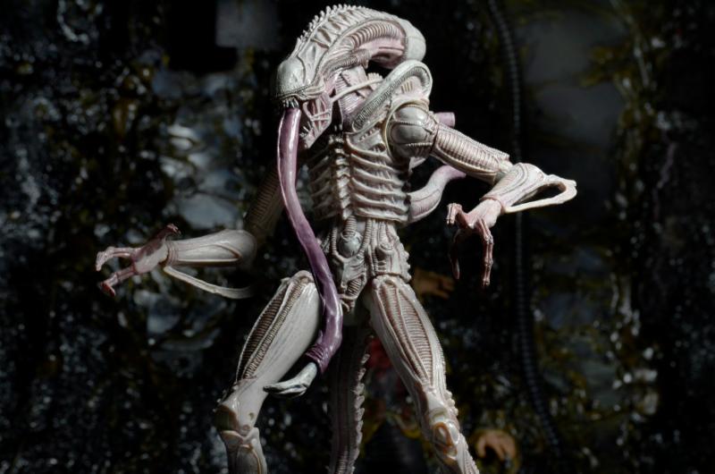 Alien Series 09 Concept Albino Alien Figure Gallery Image 3