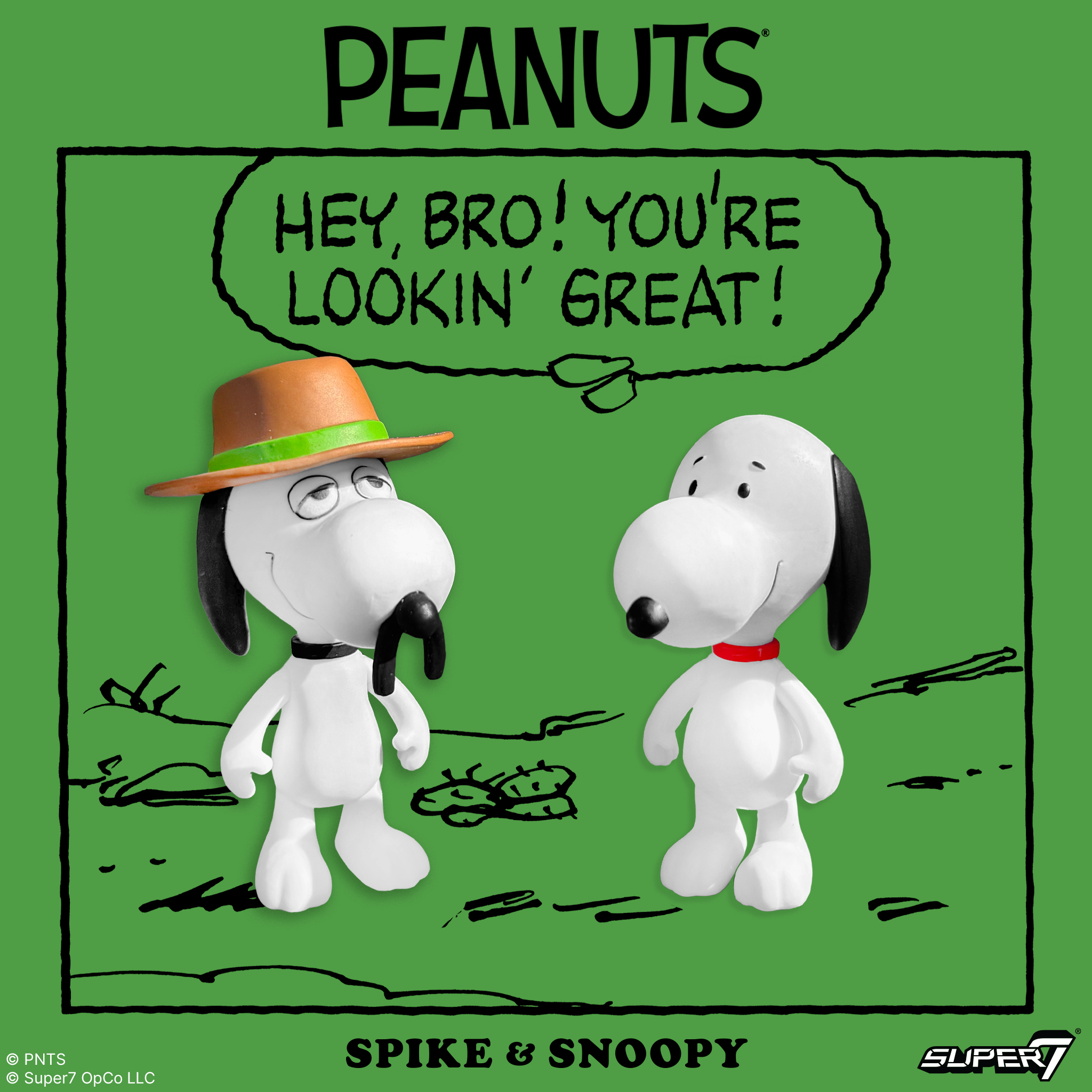 Peanuts ReAction Snoopy & Spike Action Figure Two-Pack