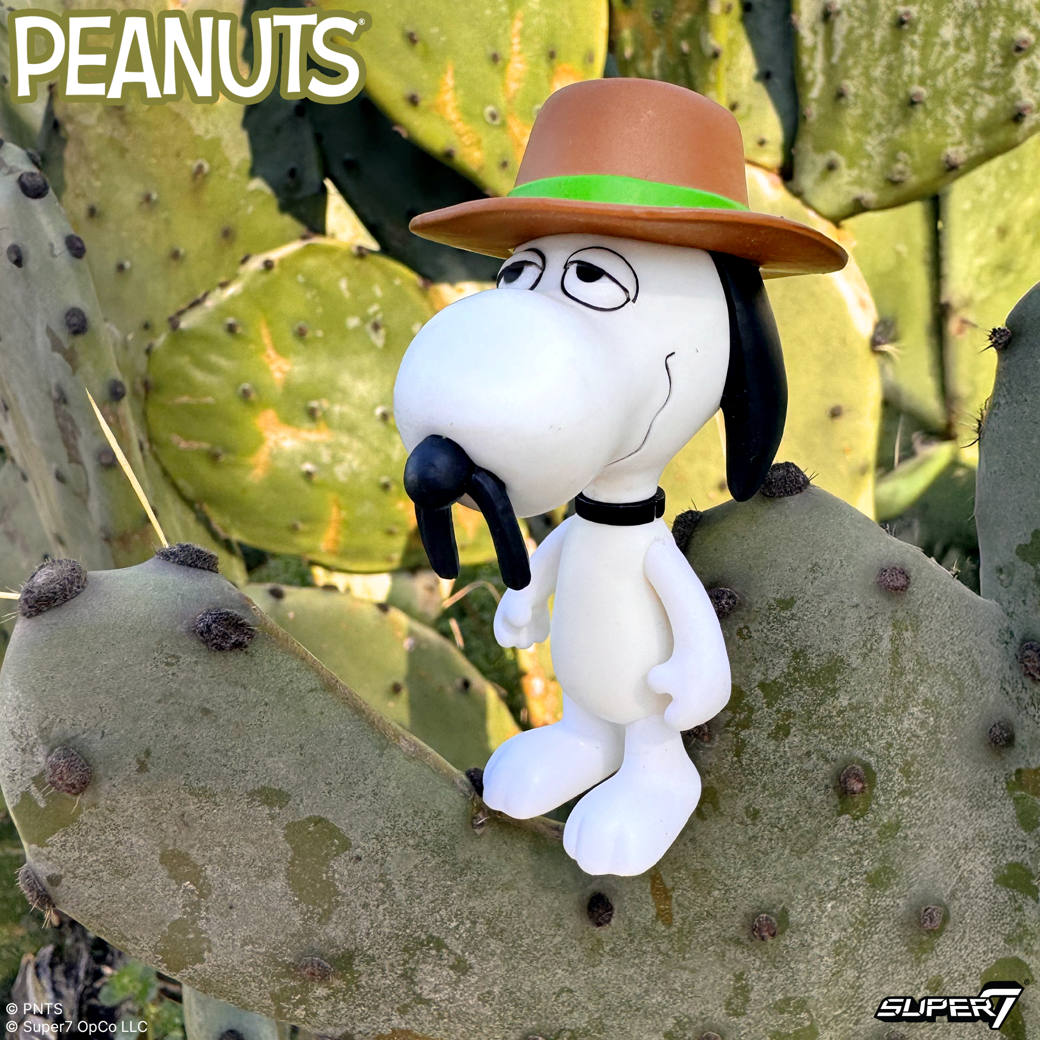 Peanuts ReAction Snoopy & Spike Action Figure Two-Pack