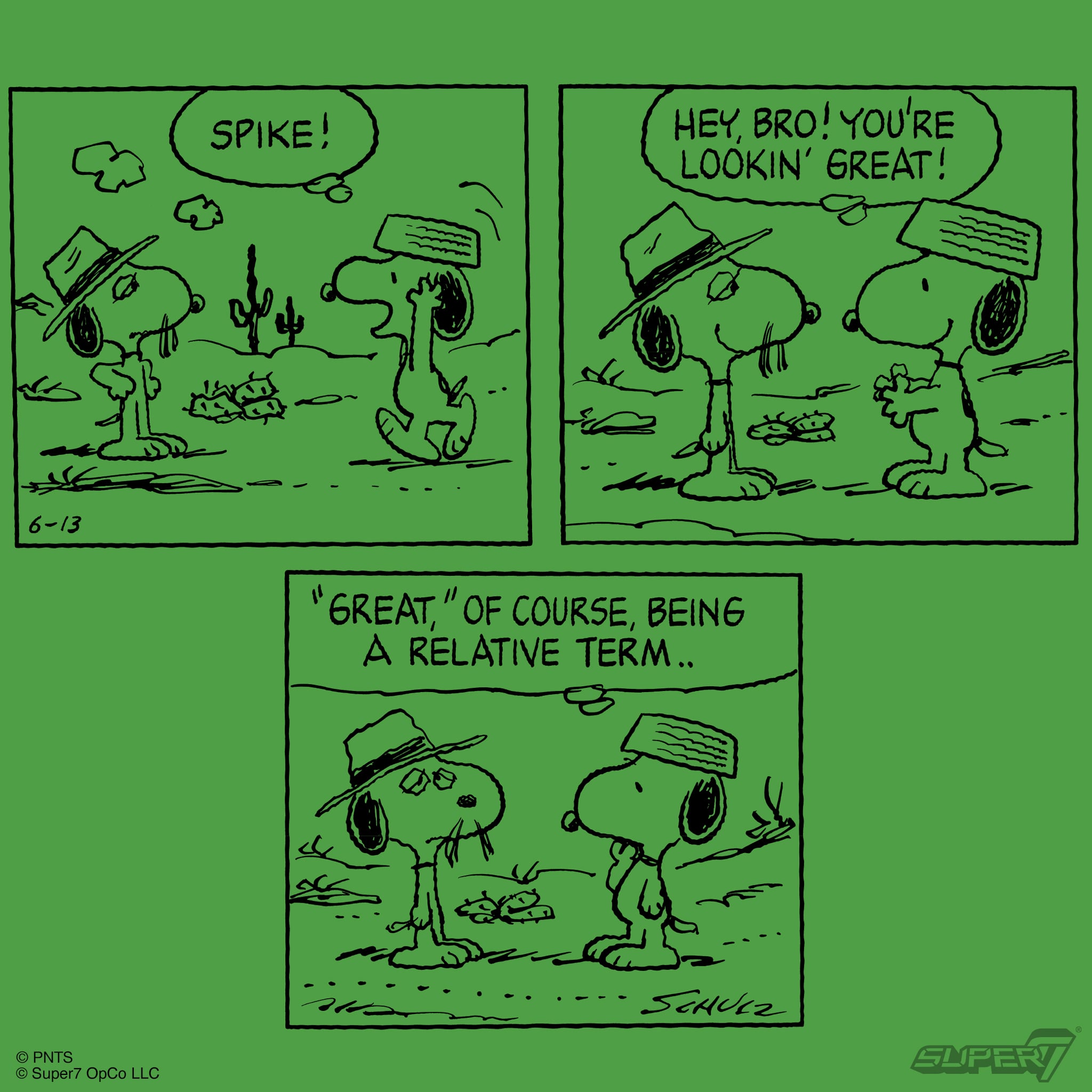 Peanuts ReAction Snoopy & Spike Action Figure Two-Pack Gallery Image 5