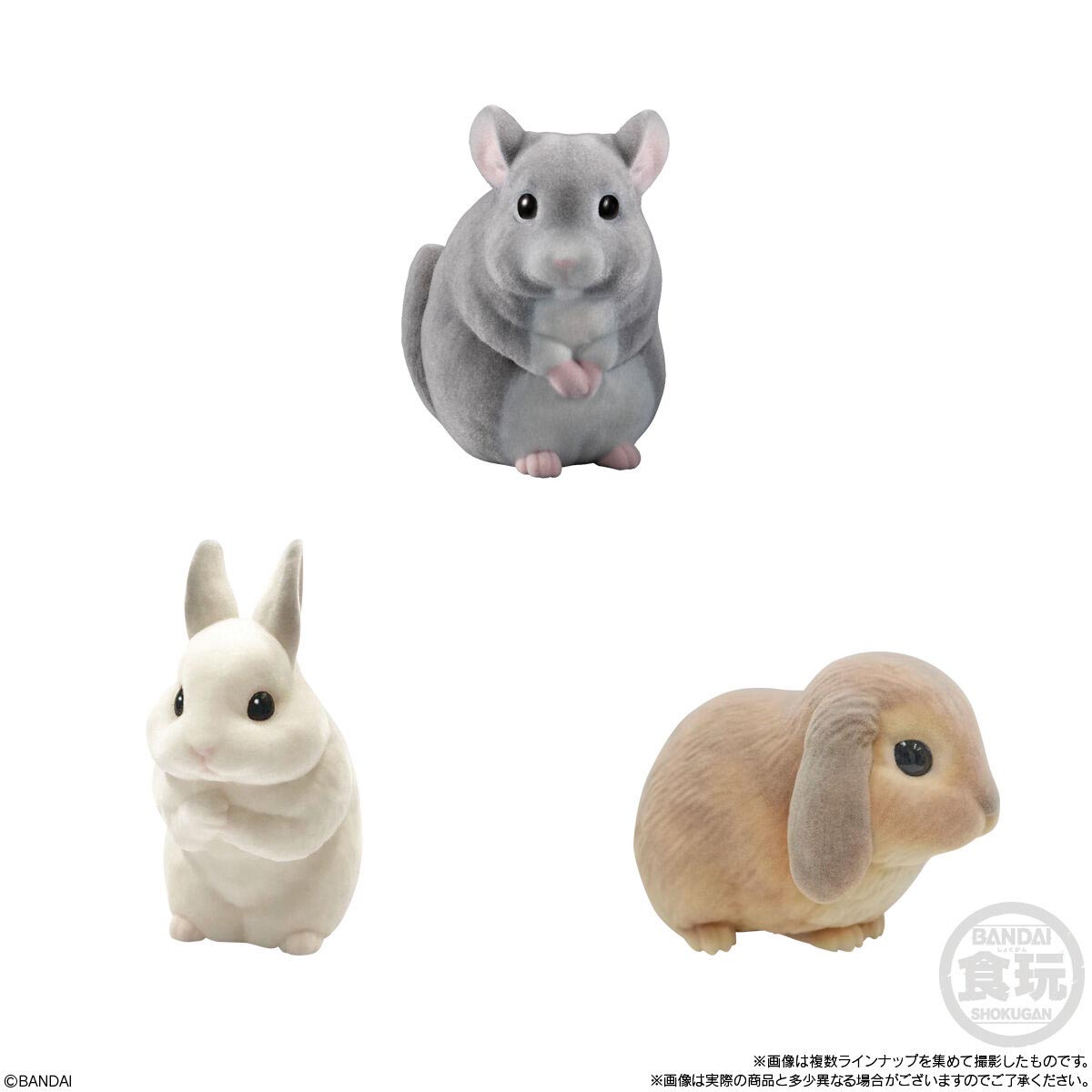 Bandai Shokugan Flocked Tenori Friends Box of 12 Random Figures (Reissue) Gallery Image 6