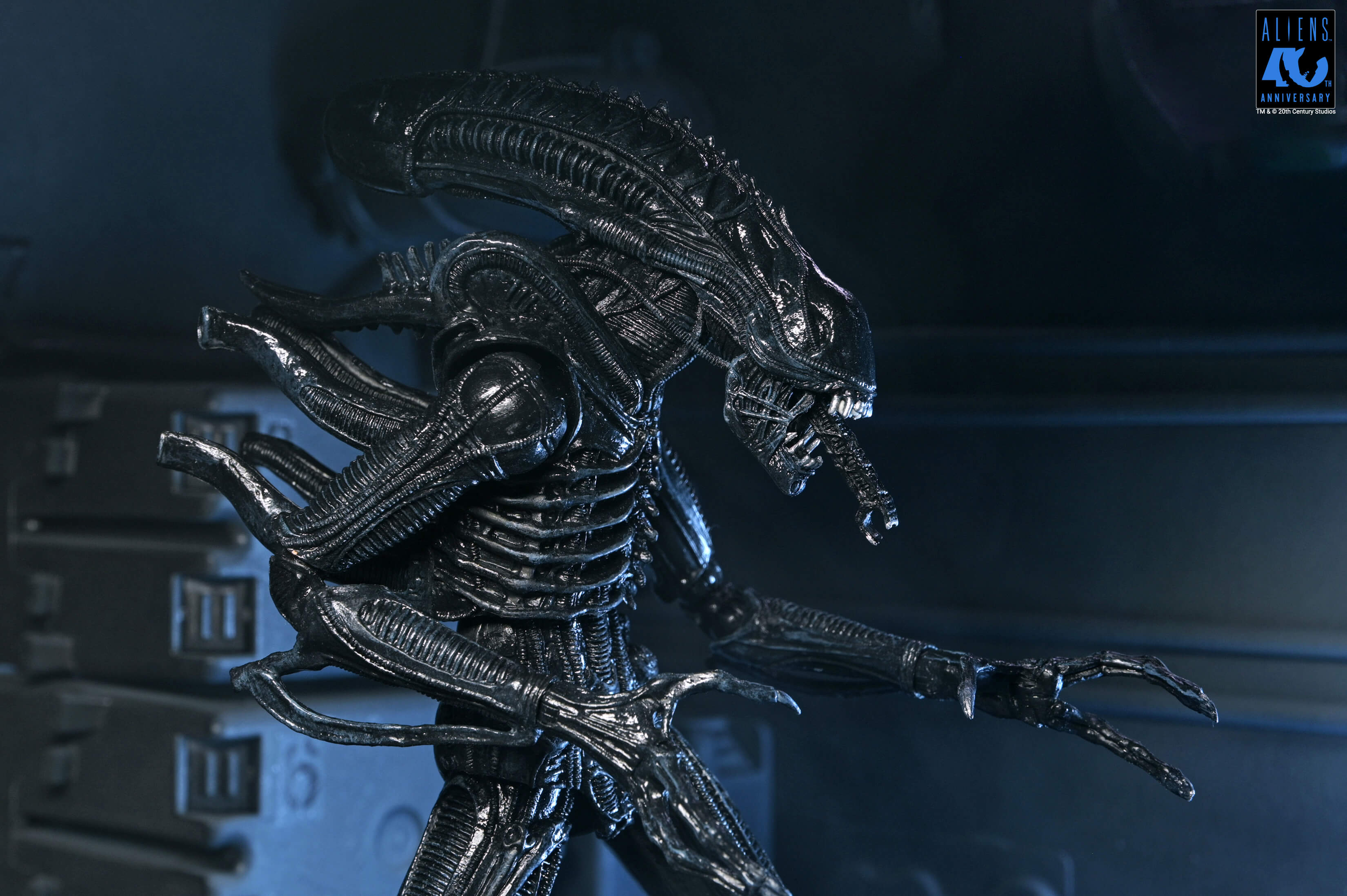SF・ファンタジー・ホラー WARRIOR ALIEN Aliens 40th Anniversary Ultimate Warrior Xenomorph Action Figure
