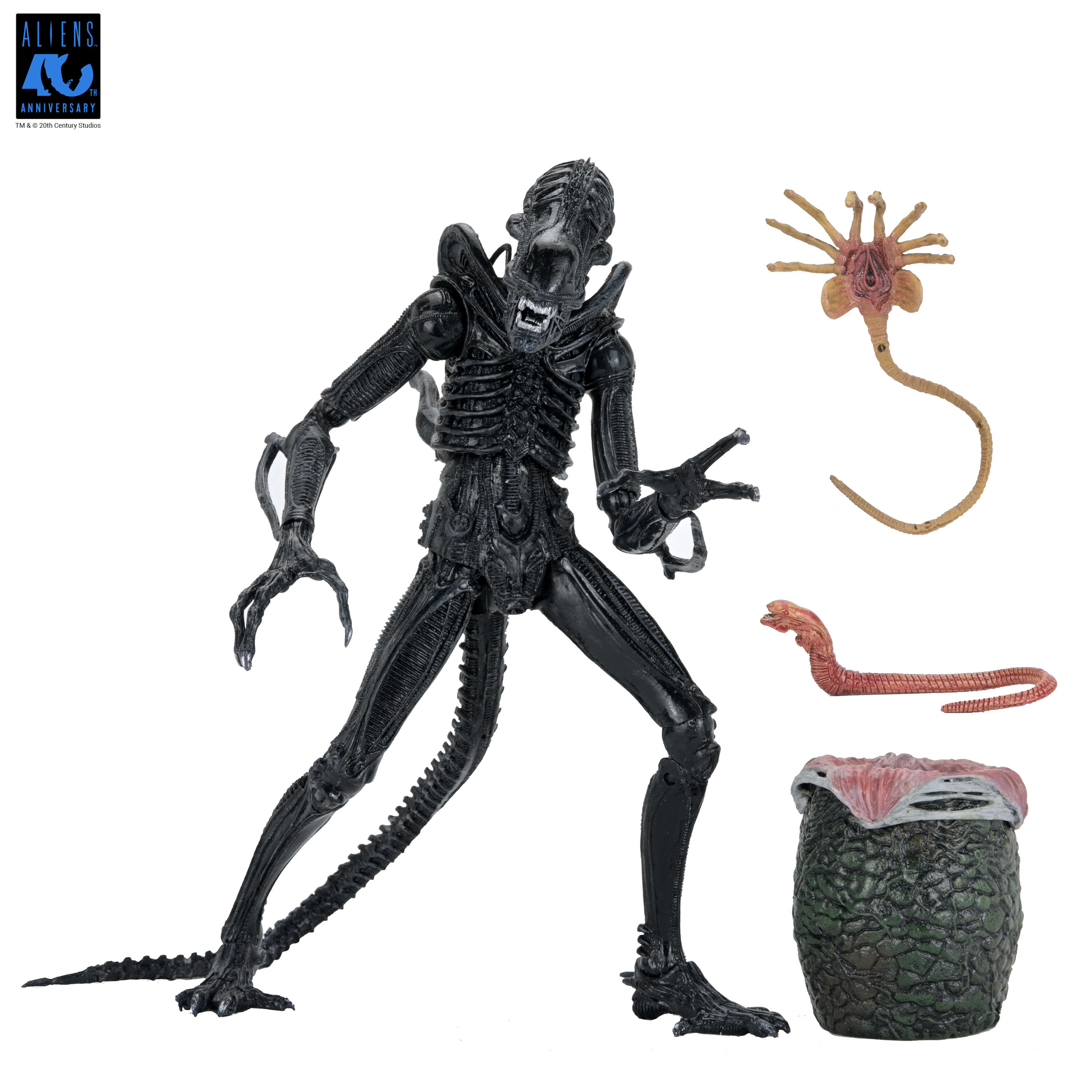 Aliens 40th Anniversary Ultimate Warrior Xenomorph Action Figure