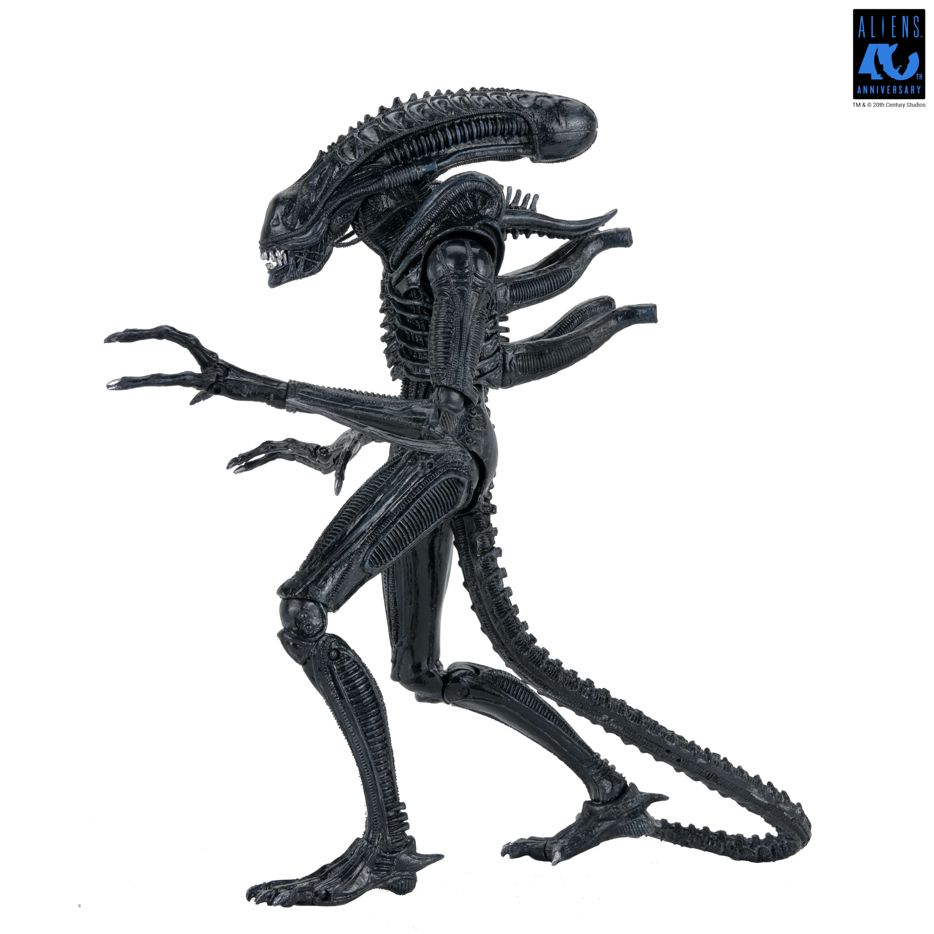 Aliens 40th Anniversary Ultimate Warrior Xenomorph Action Figure Gallery Image 17