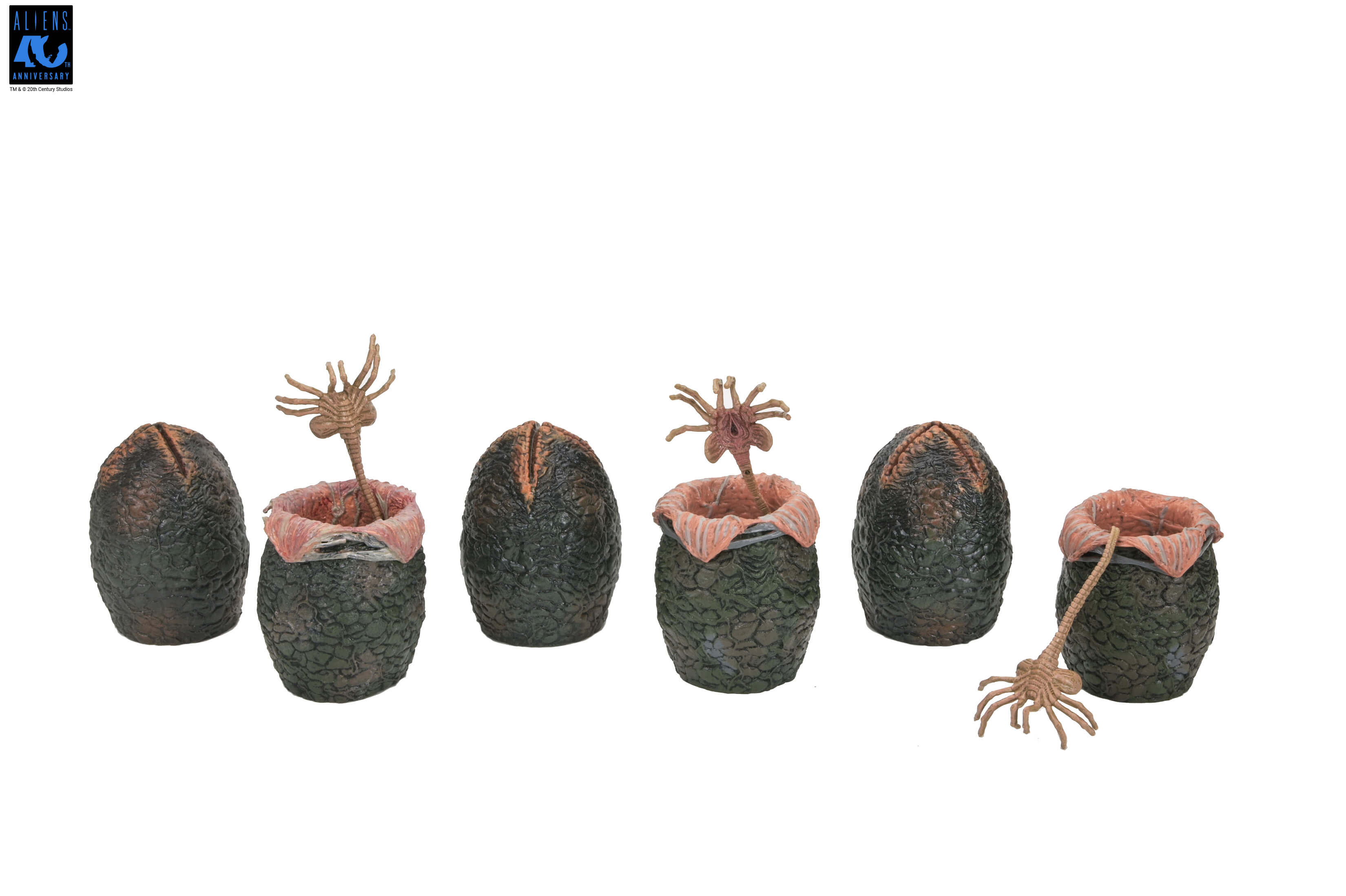 Aliens 40th Anniversary Xenomorph Eggs Set 6 Pack in Collectible Carton Gallery Image 12