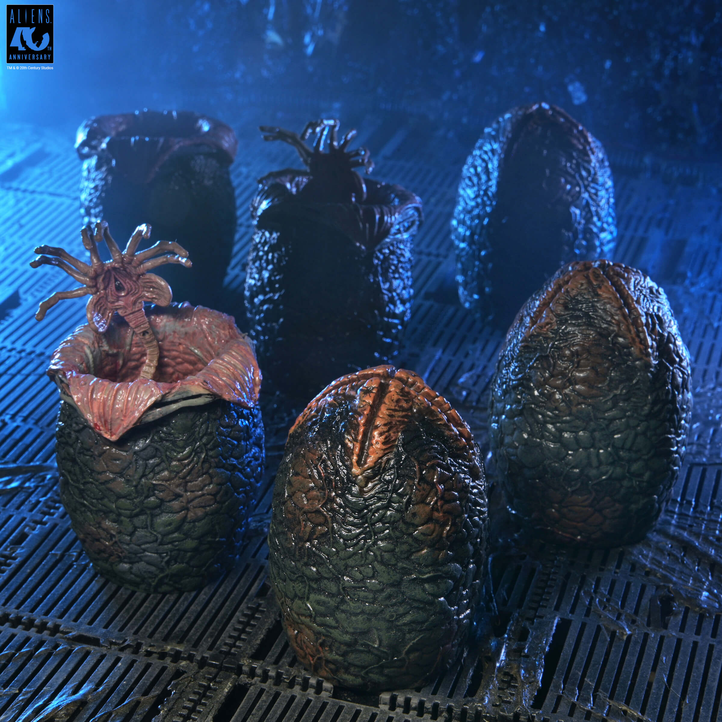 Aliens 40th Anniversary Xenomorph Eggs Set 6 Pack in Collectible Carton Gallery Image 8
