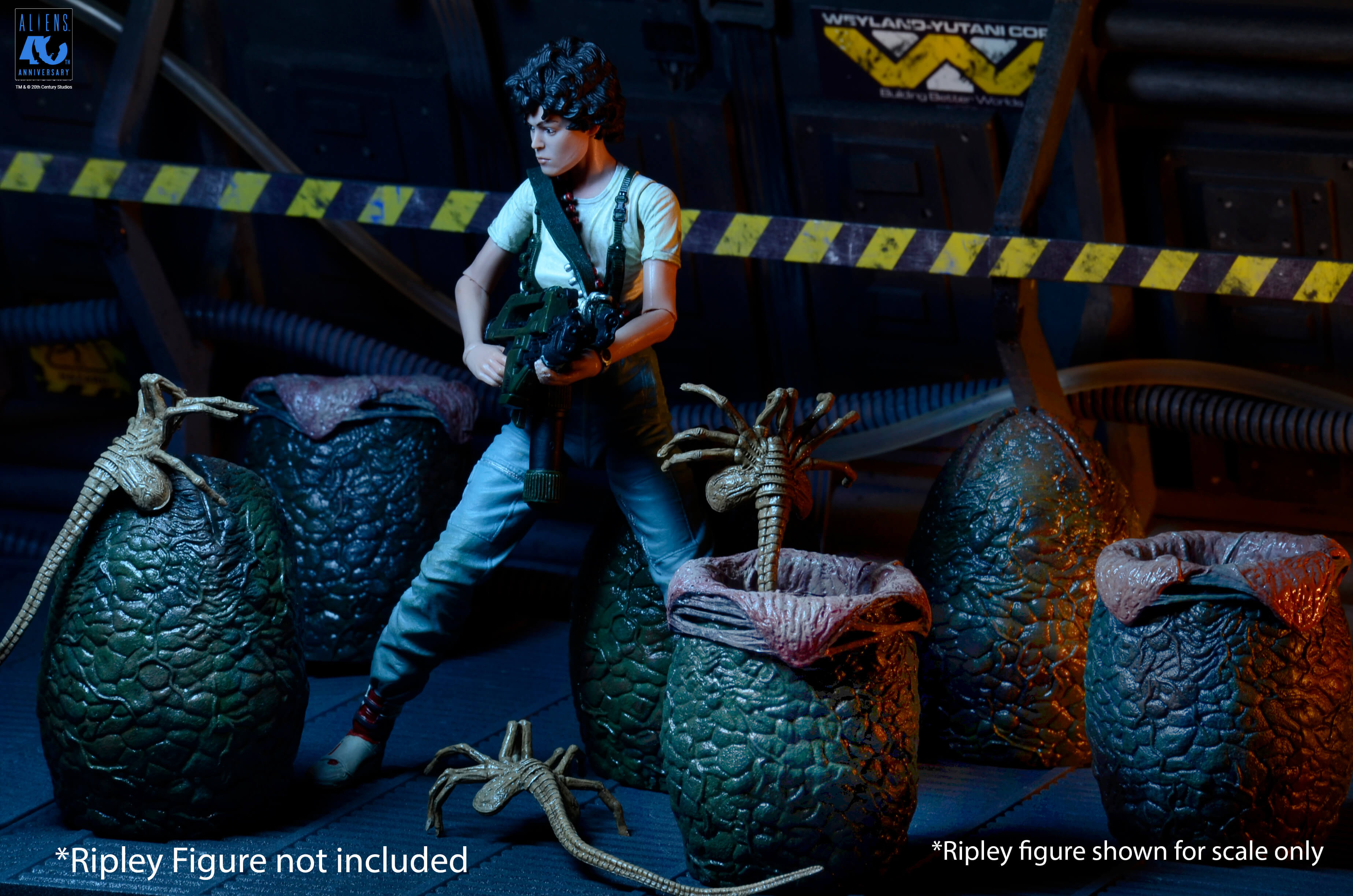 Aliens 40th Anniversary Xenomorph Eggs Set 6 Pack in Collectible Carton Gallery Image 11