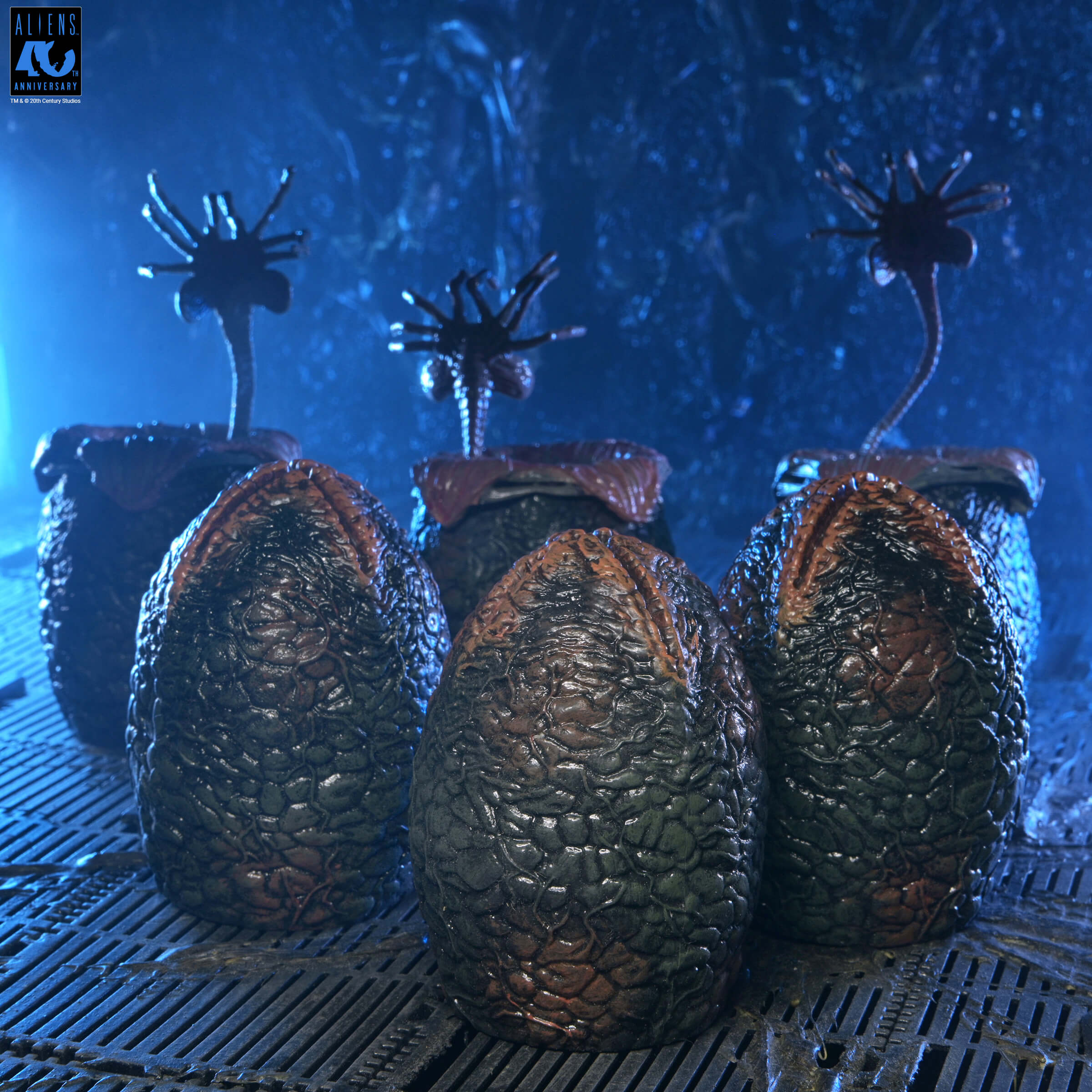 Aliens 40th Anniversary Xenomorph Eggs Set 6 Pack in Collectible Carton Gallery Image 9