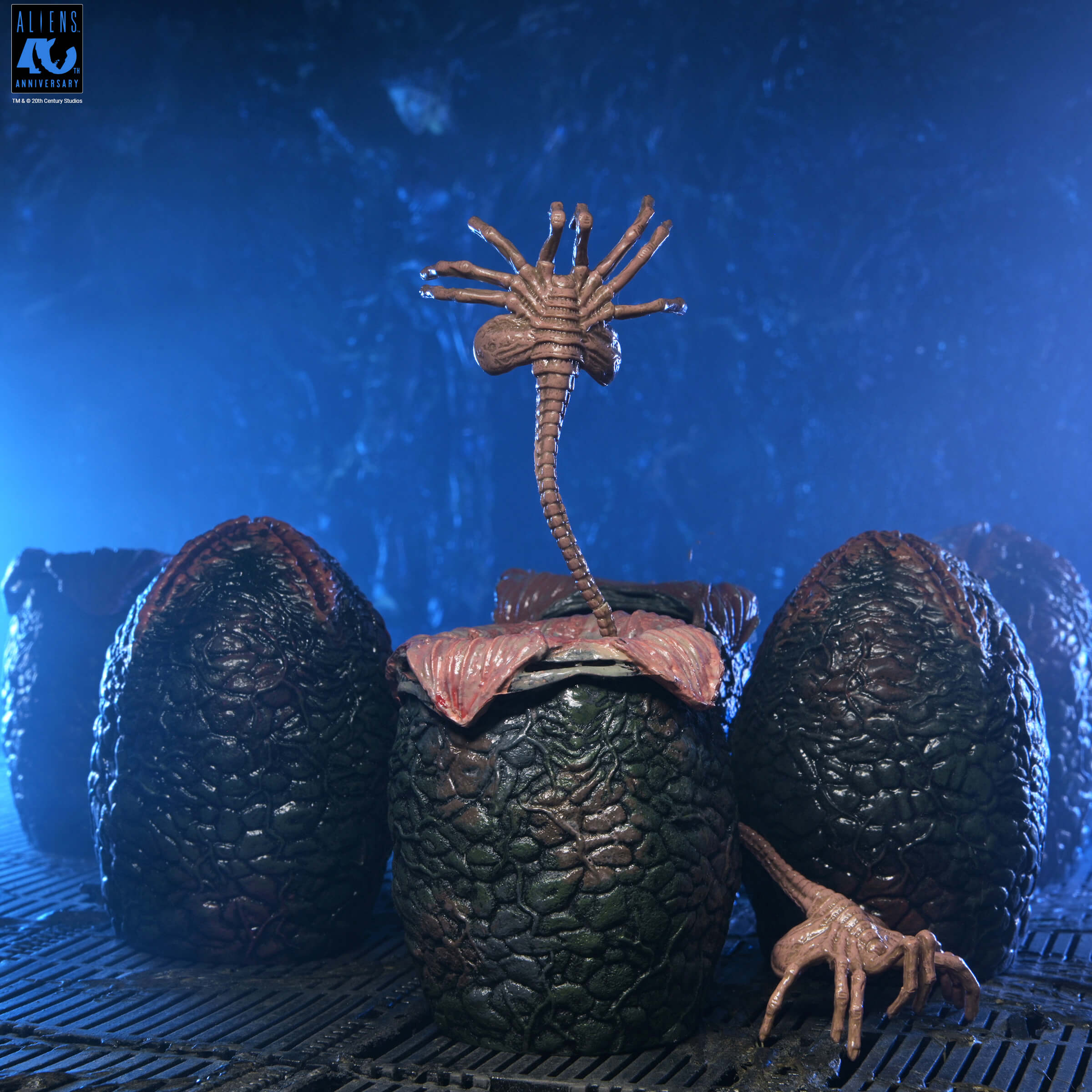 Aliens 40th Anniversary Xenomorph Eggs Set 6 Pack in Collectible Carton Gallery Image 7