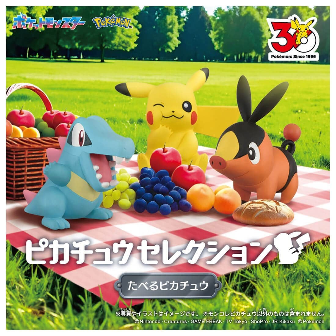 Pokemon Moncolle 30th Anniversary Pikachu (Eating Ver.) Gallery Image 9