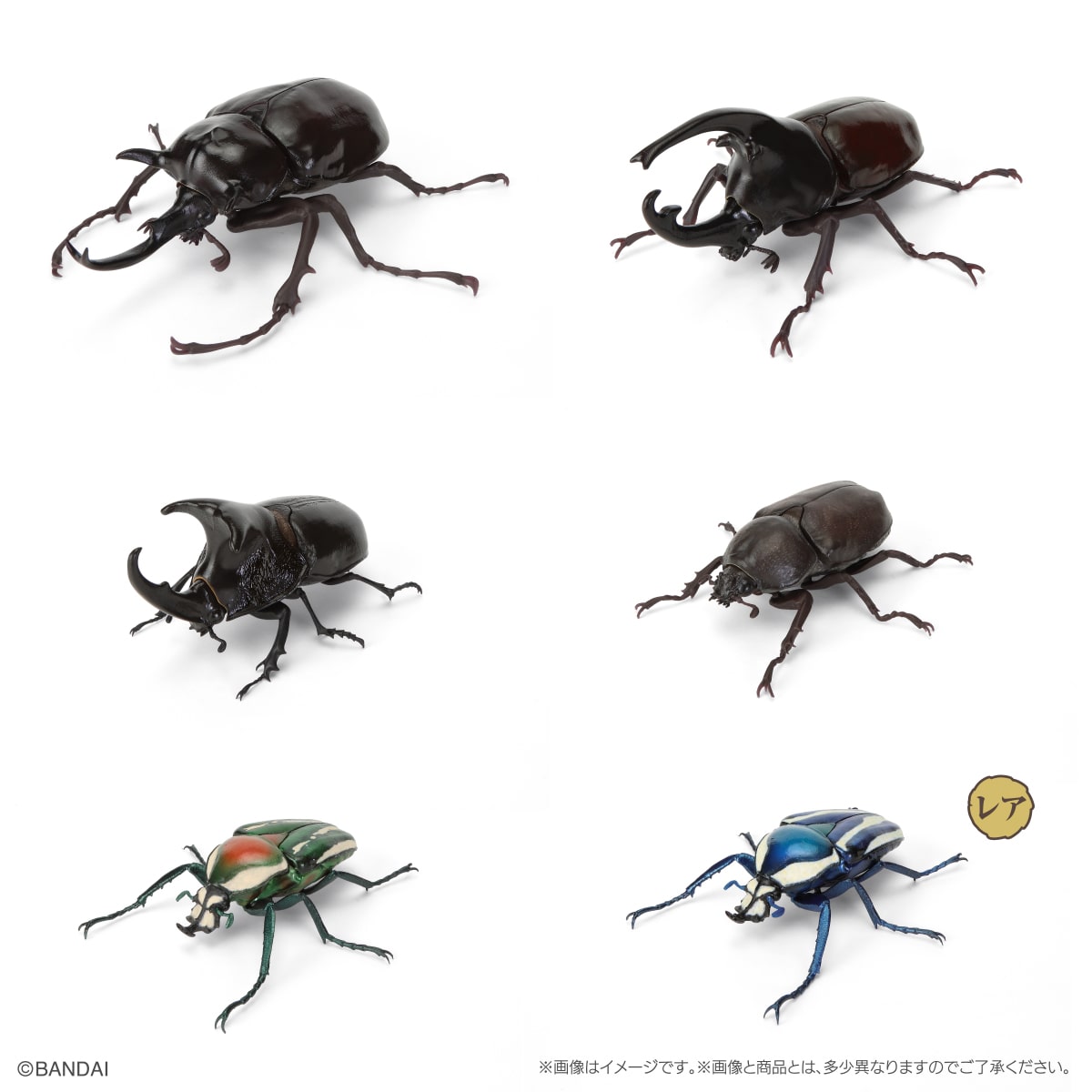 The Diversity of Life on Earth Beetle 11 Bark Pedestal (Small