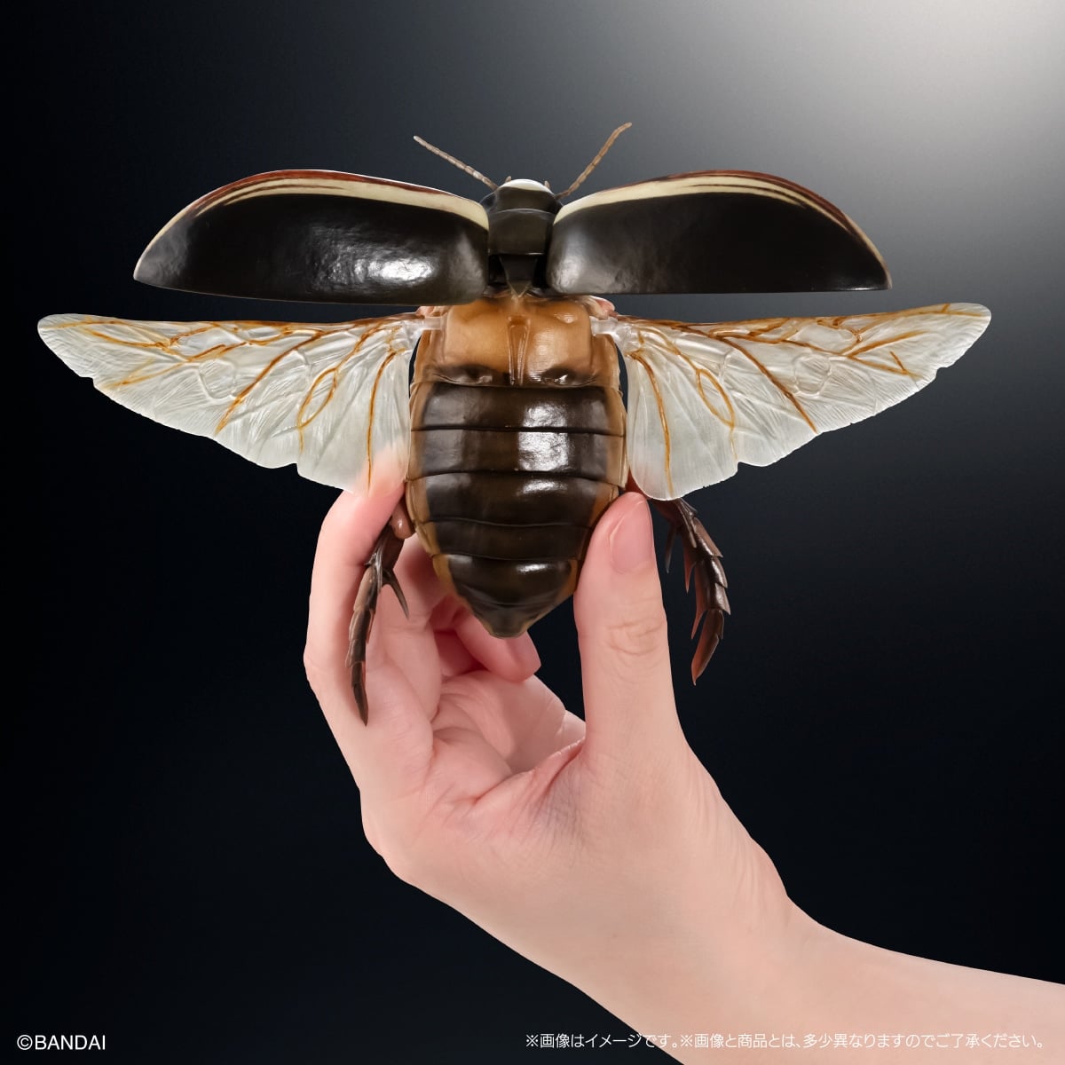 The Diversity of Life on Earth Advance Aquatic Insects 02: Diving