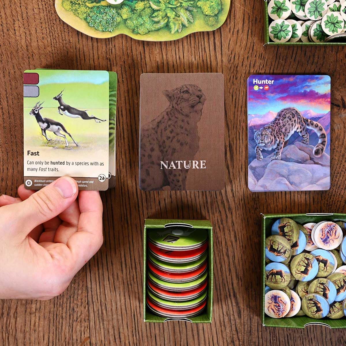 Nature Gallery Image 9