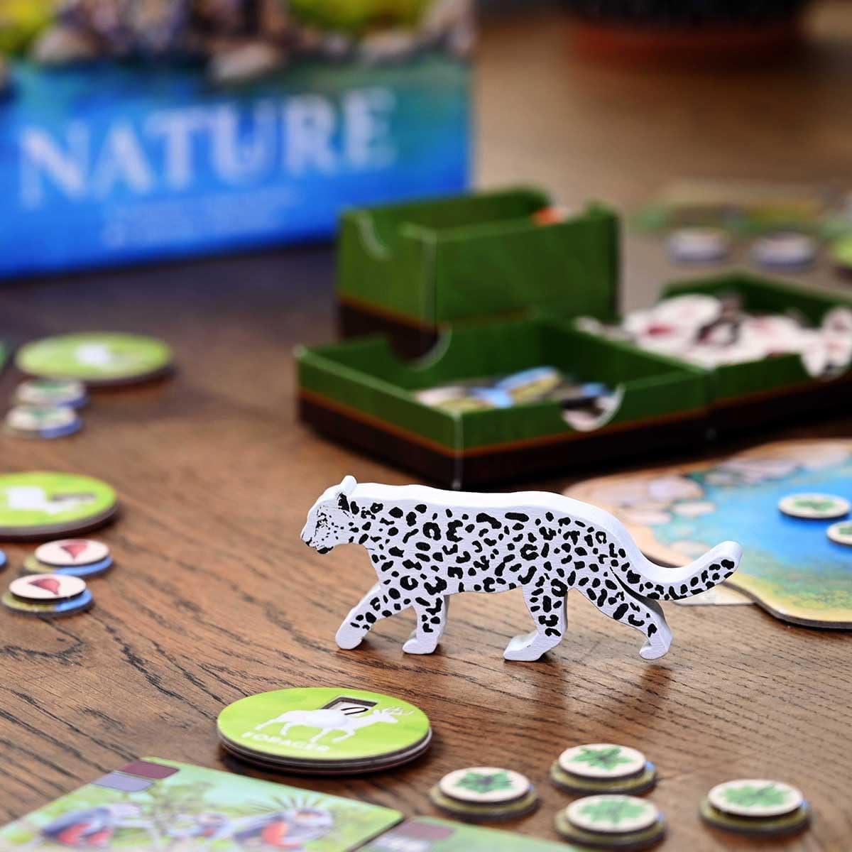 Nature Gallery Image 8