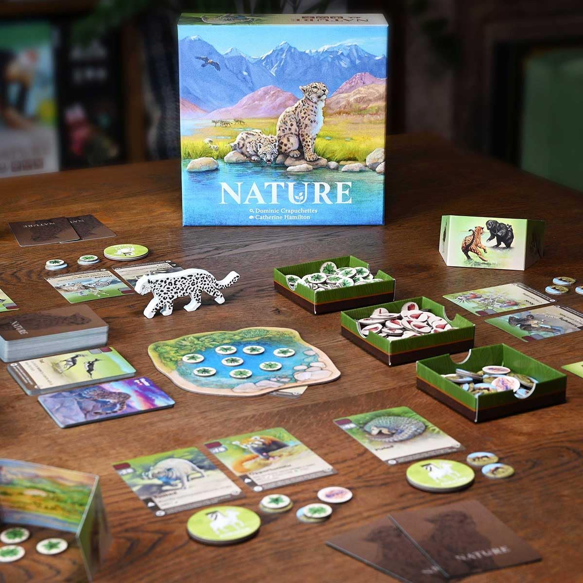 Nature Gallery Image 4