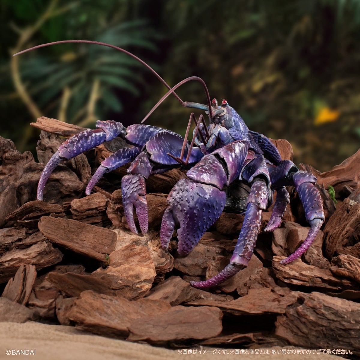 The Diversity of Life on Earth Coconut Crab (Purple Color Ver.) Figure