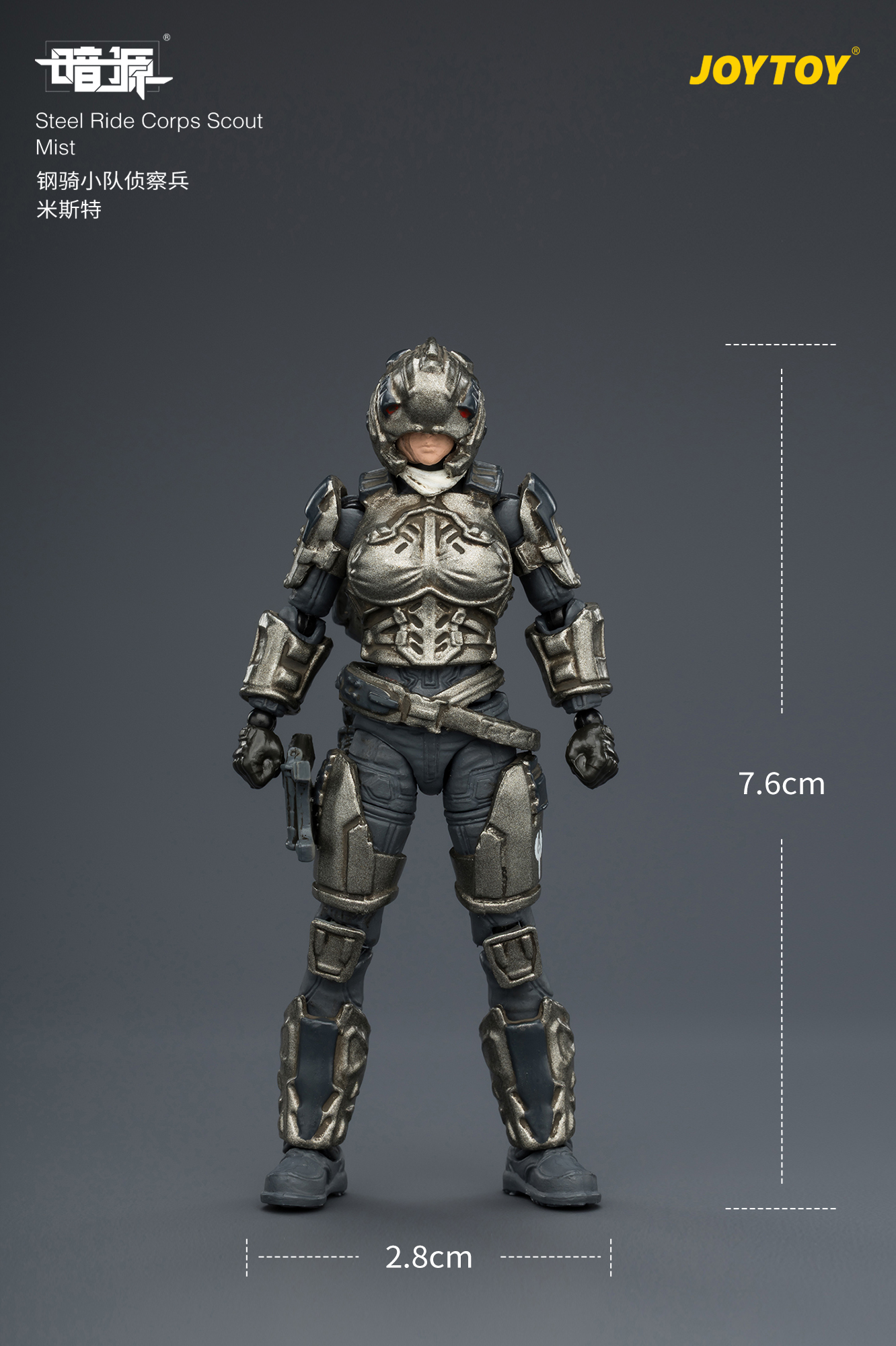 Dark Source Steel Ride Corps Scout Mist 1/25 Scale Action Figure