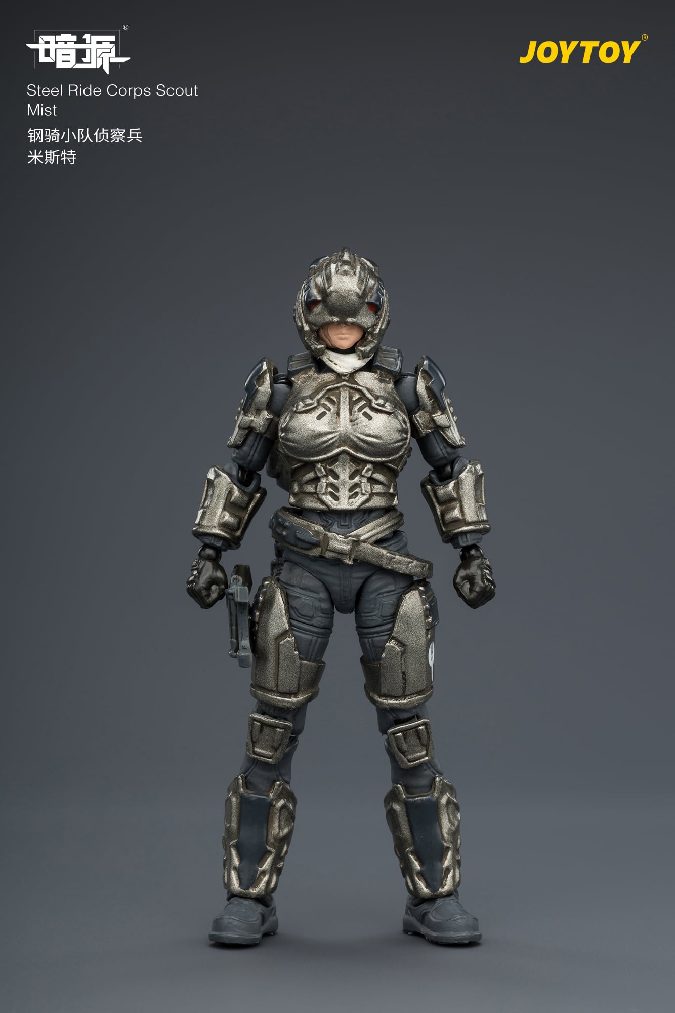 Dark Source Steel Ride Corps Scout Mist 1/25 Scale Action Figure