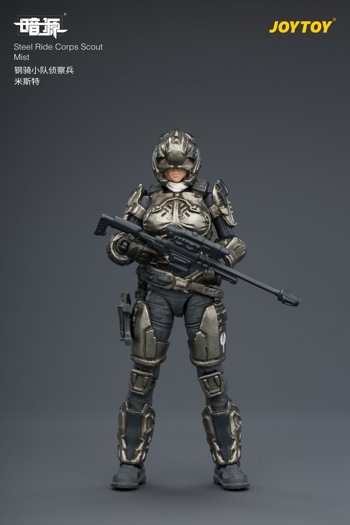 Dark Source Steel Ride Corps Scout Mist 1/25 Scale Action Figure