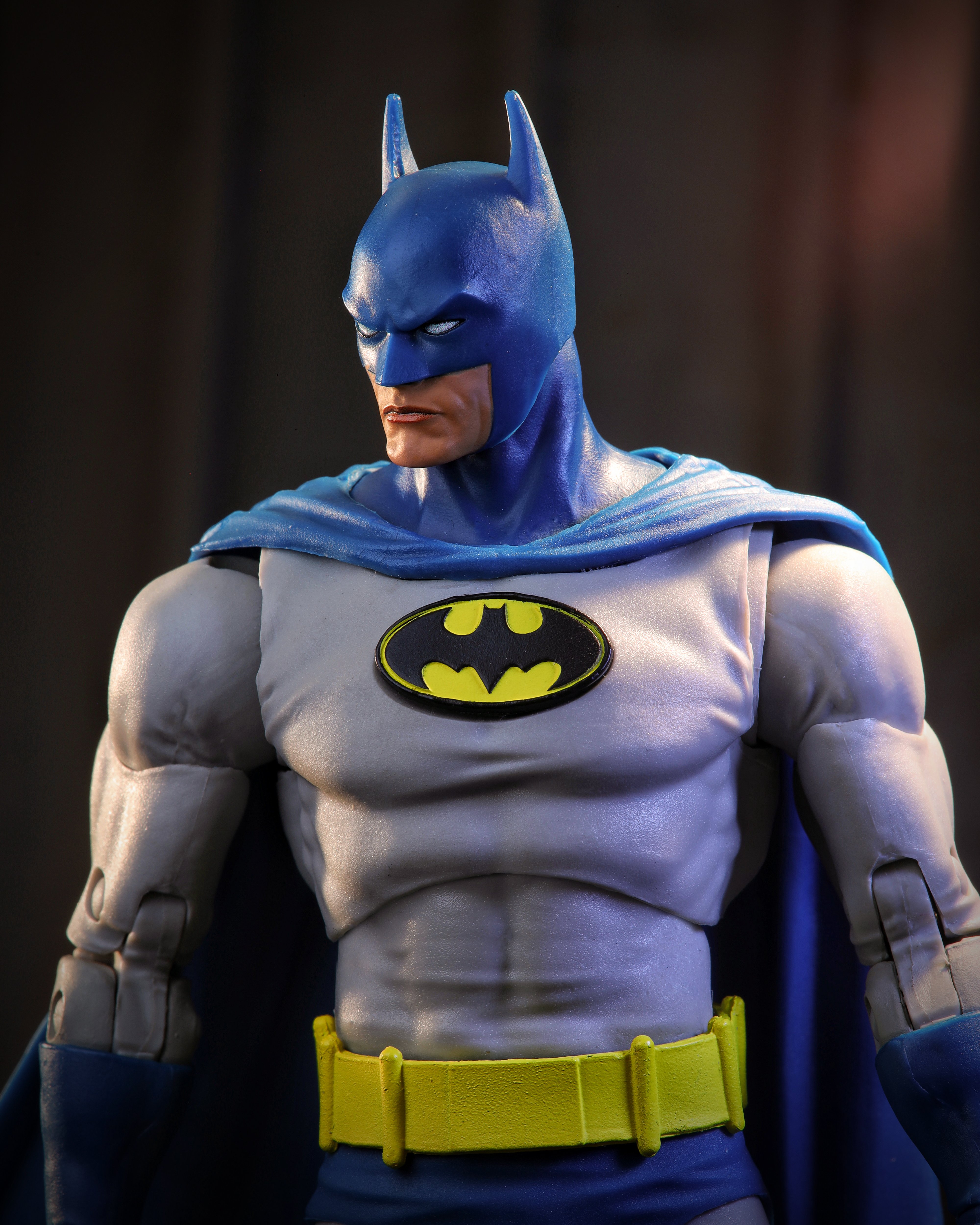 Batman: Knightfall DC Multiverse McFarlane Vault Collection Batman Action Figure Gallery Image 8