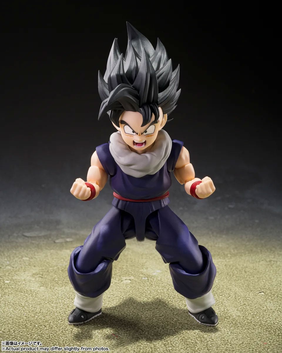 HAO 高山善廣 FIGHTERS FIGURE LIMITED MODEL Dragon Ball Z S.H.Figuarts Gohan (Z-Fighters Group Base Ver. A