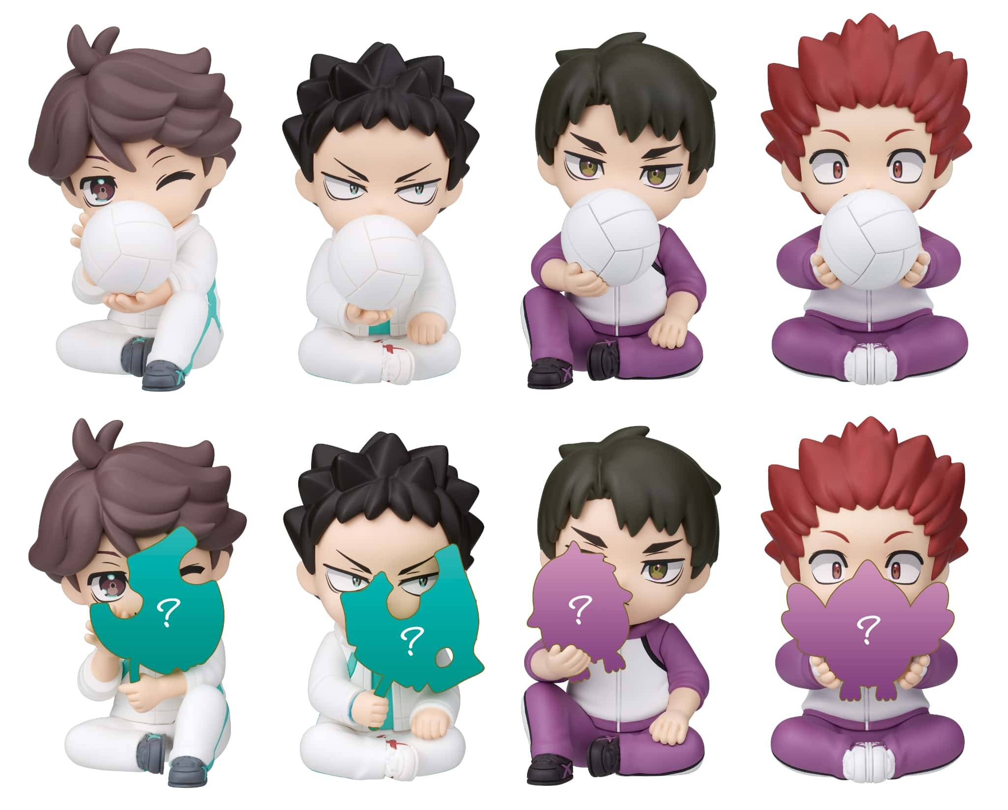 Haikyu!! Perihapi! Kakurenbo Aoba Johsai & Shiratorizawa Academy